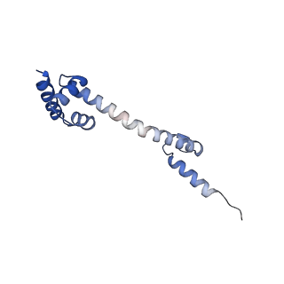 10453_6tbv_L201_v1-2
Cryo-EM structure of an Escherichia coli ribosome-SpeFL complex stalled in response to L-ornithine (Replicate 2)