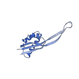 10453_6tbv_L221_v1-2
Cryo-EM structure of an Escherichia coli ribosome-SpeFL complex stalled in response to L-ornithine (Replicate 2)