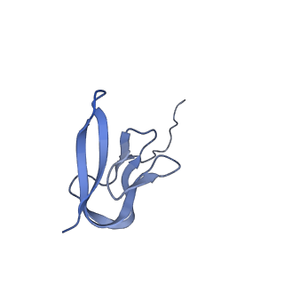 10453_6tbv_L271_v1-2
Cryo-EM structure of an Escherichia coli ribosome-SpeFL complex stalled in response to L-ornithine (Replicate 2)