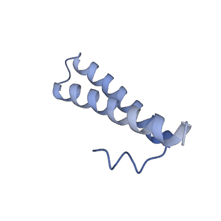 10453_6tbv_L291_v1-2
Cryo-EM structure of an Escherichia coli ribosome-SpeFL complex stalled in response to L-ornithine (Replicate 2)