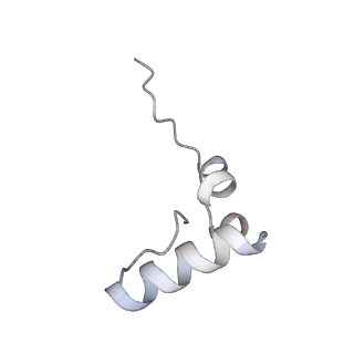 10453_6tbv_L341_v1-2
Cryo-EM structure of an Escherichia coli ribosome-SpeFL complex stalled in response to L-ornithine (Replicate 2)