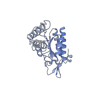 10453_6tbv_S021_v1-2
Cryo-EM structure of an Escherichia coli ribosome-SpeFL complex stalled in response to L-ornithine (Replicate 2)