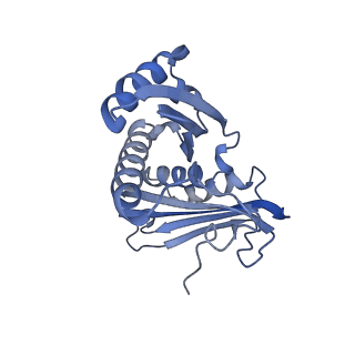 10453_6tbv_S031_v1-2
Cryo-EM structure of an Escherichia coli ribosome-SpeFL complex stalled in response to L-ornithine (Replicate 2)