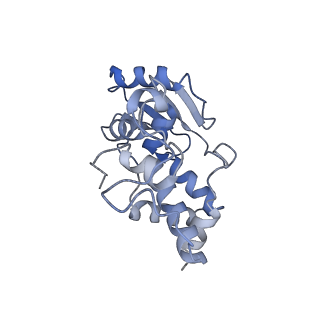 10453_6tbv_S041_v1-2
Cryo-EM structure of an Escherichia coli ribosome-SpeFL complex stalled in response to L-ornithine (Replicate 2)