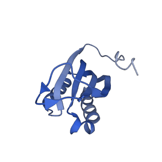 10453_6tbv_S061_v1-2
Cryo-EM structure of an Escherichia coli ribosome-SpeFL complex stalled in response to L-ornithine (Replicate 2)