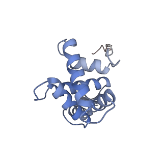 10453_6tbv_S071_v1-2
Cryo-EM structure of an Escherichia coli ribosome-SpeFL complex stalled in response to L-ornithine (Replicate 2)