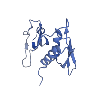 10453_6tbv_S081_v1-2
Cryo-EM structure of an Escherichia coli ribosome-SpeFL complex stalled in response to L-ornithine (Replicate 2)