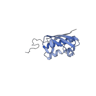 10453_6tbv_S091_v1-2
Cryo-EM structure of an Escherichia coli ribosome-SpeFL complex stalled in response to L-ornithine (Replicate 2)