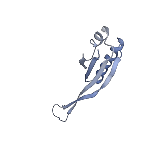10453_6tbv_S101_v1-2
Cryo-EM structure of an Escherichia coli ribosome-SpeFL complex stalled in response to L-ornithine (Replicate 2)