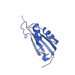10453_6tbv_S111_v1-2
Cryo-EM structure of an Escherichia coli ribosome-SpeFL complex stalled in response to L-ornithine (Replicate 2)