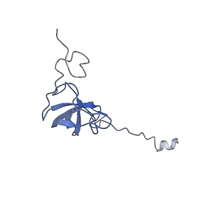 10453_6tbv_S121_v1-2
Cryo-EM structure of an Escherichia coli ribosome-SpeFL complex stalled in response to L-ornithine (Replicate 2)