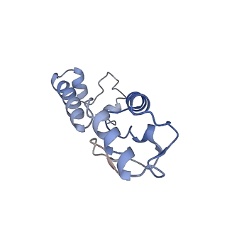 10453_6tbv_S131_v1-2
Cryo-EM structure of an Escherichia coli ribosome-SpeFL complex stalled in response to L-ornithine (Replicate 2)