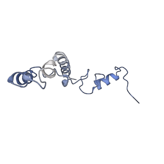 10453_6tbv_S141_v1-2
Cryo-EM structure of an Escherichia coli ribosome-SpeFL complex stalled in response to L-ornithine (Replicate 2)