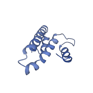 10453_6tbv_S151_v1-2
Cryo-EM structure of an Escherichia coli ribosome-SpeFL complex stalled in response to L-ornithine (Replicate 2)