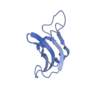 10453_6tbv_S161_v1-2
Cryo-EM structure of an Escherichia coli ribosome-SpeFL complex stalled in response to L-ornithine (Replicate 2)
