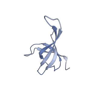 10453_6tbv_S171_v1-2
Cryo-EM structure of an Escherichia coli ribosome-SpeFL complex stalled in response to L-ornithine (Replicate 2)
