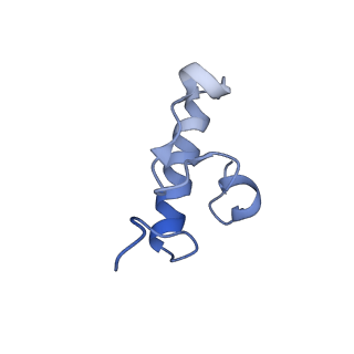 10453_6tbv_S181_v1-2
Cryo-EM structure of an Escherichia coli ribosome-SpeFL complex stalled in response to L-ornithine (Replicate 2)