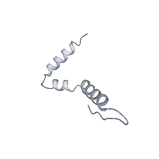 10453_6tbv_S211_v1-2
Cryo-EM structure of an Escherichia coli ribosome-SpeFL complex stalled in response to L-ornithine (Replicate 2)