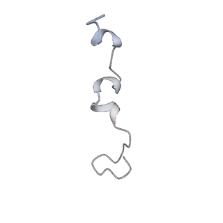 10453_6tbv_SPE1_v1-2
Cryo-EM structure of an Escherichia coli ribosome-SpeFL complex stalled in response to L-ornithine (Replicate 2)