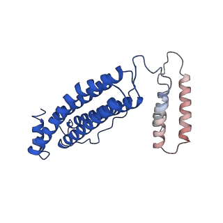 25791_7tb3_C_v1-0
cryo-EM structure of MBP-KIX-apoferritin