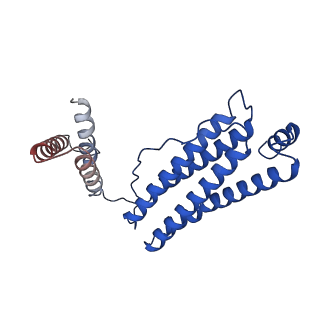 25791_7tb3_E_v1-0
cryo-EM structure of MBP-KIX-apoferritin