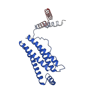 25791_7tb3_X_v1-0
cryo-EM structure of MBP-KIX-apoferritin