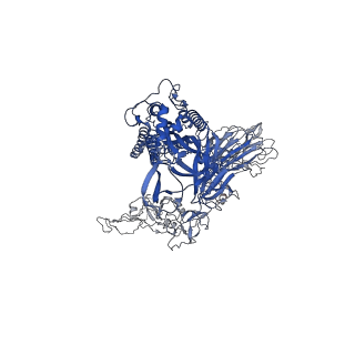 25792_7tb4_A_v1-1
Cryo-EM structure of the spike of SARS-CoV-2 Omicron variant of concern