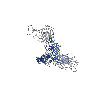 25794_7tb8_A_v1-1
Cryo-EM structure of SARS-CoV-2 spike in complex with antibodies B1-182.1 and A19-61.1