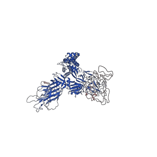 25794_7tb8_C_v1-1
Cryo-EM structure of SARS-CoV-2 spike in complex with antibodies B1-182.1 and A19-61.1