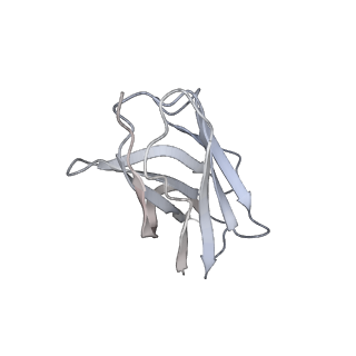 25794_7tb8_F_v1-1
Cryo-EM structure of SARS-CoV-2 spike in complex with antibodies B1-182.1 and A19-61.1