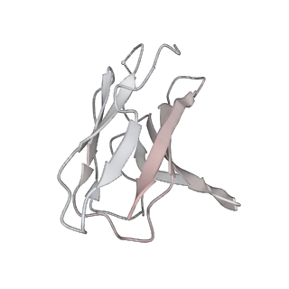 25794_7tb8_L_v1-1
Cryo-EM structure of SARS-CoV-2 spike in complex with antibodies B1-182.1 and A19-61.1