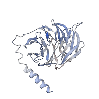 41144_8tb0_B_v1-0
Cryo-EM Structure of GPR61-G protein complex stabilized by scFv16