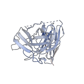 41144_8tb0_F_v1-0
Cryo-EM Structure of GPR61-G protein complex stabilized by scFv16