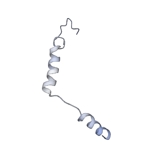 41144_8tb0_G_v1-0
Cryo-EM Structure of GPR61-G protein complex stabilized by scFv16