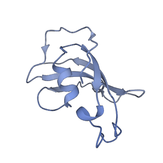 8391_5tb0_A_v1-2
Structure of rabbit RyR1 (EGTA-only dataset, all particles)
