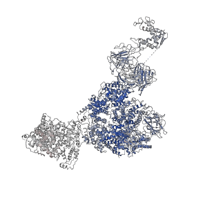 8391_5tb0_B_v1-2
Structure of rabbit RyR1 (EGTA-only dataset, all particles)