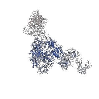 8391_5tb0_E_v1-2
Structure of rabbit RyR1 (EGTA-only dataset, all particles)