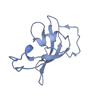 8391_5tb0_F_v1-2
Structure of rabbit RyR1 (EGTA-only dataset, all particles)