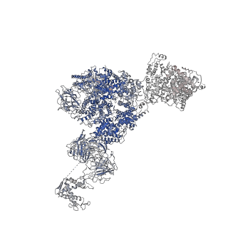 8391_5tb0_G_v1-2
Structure of rabbit RyR1 (EGTA-only dataset, all particles)