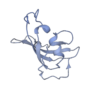 8391_5tb0_H_v1-2
Structure of rabbit RyR1 (EGTA-only dataset, all particles)