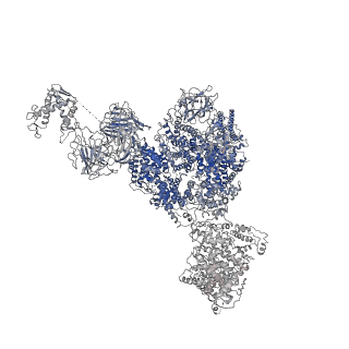 8391_5tb0_I_v1-2
Structure of rabbit RyR1 (EGTA-only dataset, all particles)