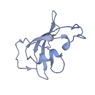 8391_5tb0_J_v1-2
Structure of rabbit RyR1 (EGTA-only dataset, all particles)