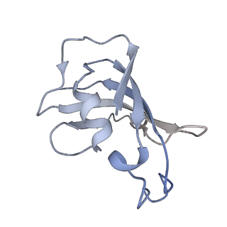 8393_5tb2_A_v1-3
Structure of rabbit RyR1 (EGTA-only dataset, class 2)