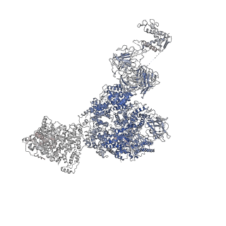 8393_5tb2_B_v1-3
Structure of rabbit RyR1 (EGTA-only dataset, class 2)