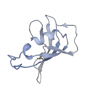 8393_5tb2_F_v1-3
Structure of rabbit RyR1 (EGTA-only dataset, class 2)