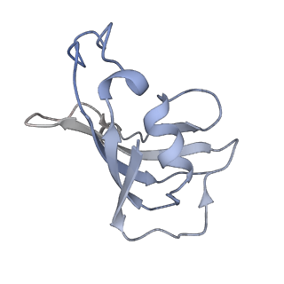 8393_5tb2_H_v1-3
Structure of rabbit RyR1 (EGTA-only dataset, class 2)