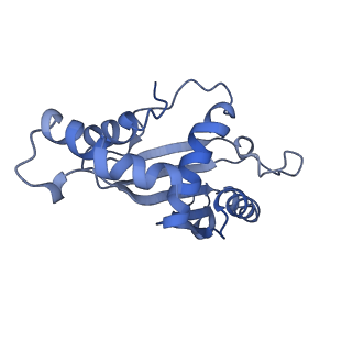 10458_6tc3_L051_v1-2
Cryo-EM structure of an Escherichia coli ribosome-SpeFL complex stalled in response to L-ornithine (Replicate 1)