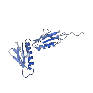 10458_6tc3_L061_v1-2
Cryo-EM structure of an Escherichia coli ribosome-SpeFL complex stalled in response to L-ornithine (Replicate 1)