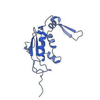 10458_6tc3_L131_v1-2
Cryo-EM structure of an Escherichia coli ribosome-SpeFL complex stalled in response to L-ornithine (Replicate 1)