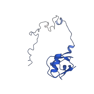 10458_6tc3_L151_v1-2
Cryo-EM structure of an Escherichia coli ribosome-SpeFL complex stalled in response to L-ornithine (Replicate 1)